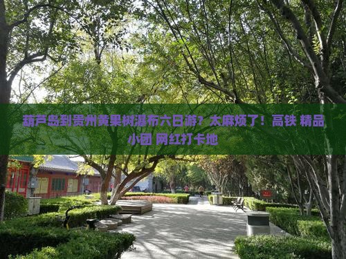 葫芦岛到贵州黄果树瀑布六日游？太麻烦了！高铁+精品小团+网红打卡地