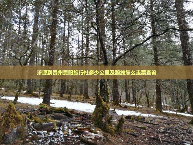济源到贵州贵阳旅行社多少公里及路线怎么走票查询