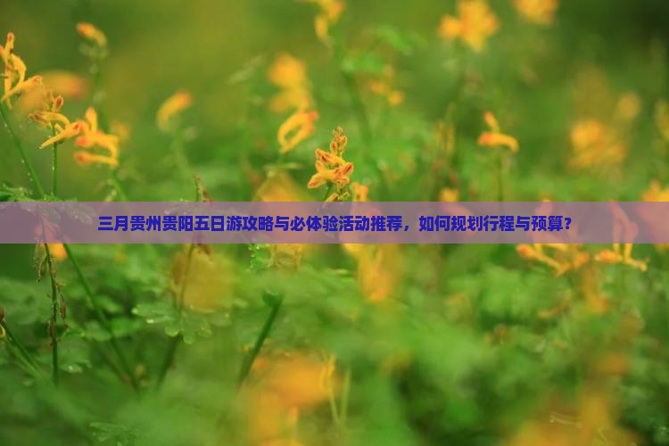 三月贵州贵阳五日游攻略与必体验活动推荐，如何规划行程与预算？