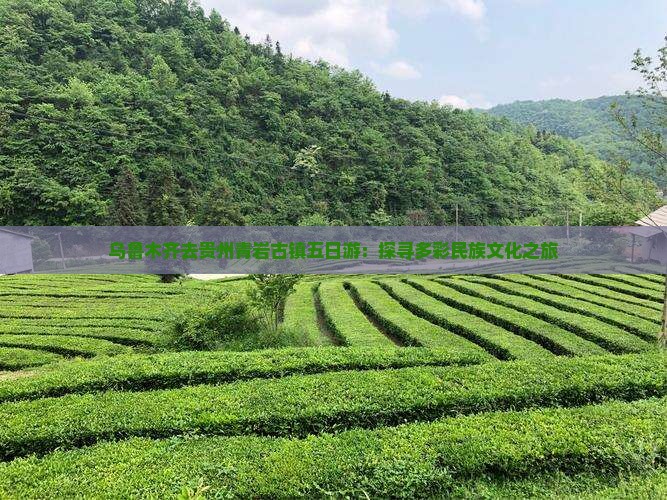 乌鲁木齐去贵州青岩古镇五日游：探寻多彩民族文化之旅