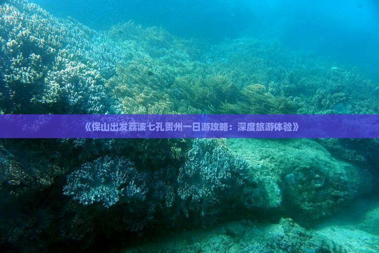 《保山出发荔波七孔贵州一日游攻略：深度旅游体验》