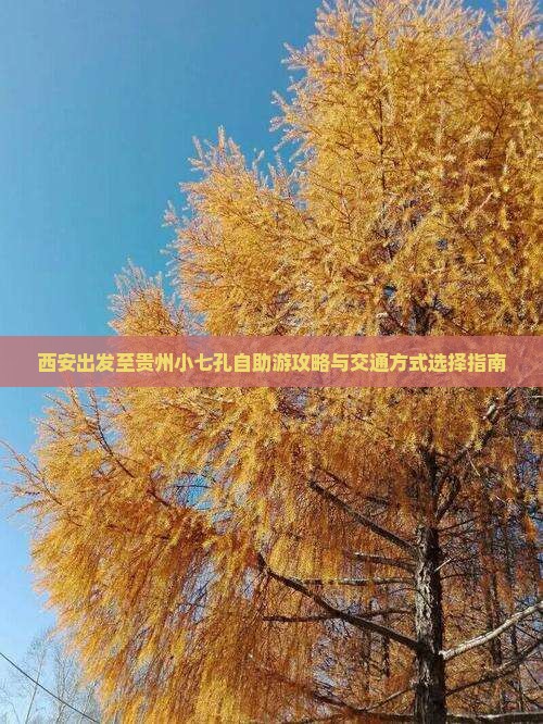 西安出发至贵州小七孔自助游攻略与交通方式选择指南