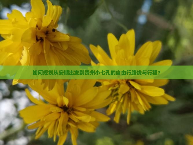 如何规划从安顺出发到贵州小七孔的自由行路线与行程？