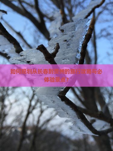 如何规划从长春到贵州的旅行攻略与必体验景点？