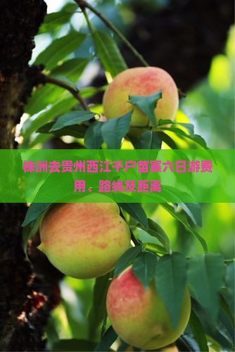 株洲去贵州西江千户苗寨六日游费用、路线及距离