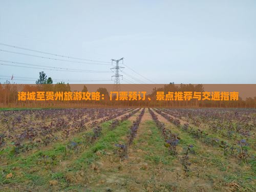 诸城至贵州旅游攻略：门票预订、景点推荐与交通指南