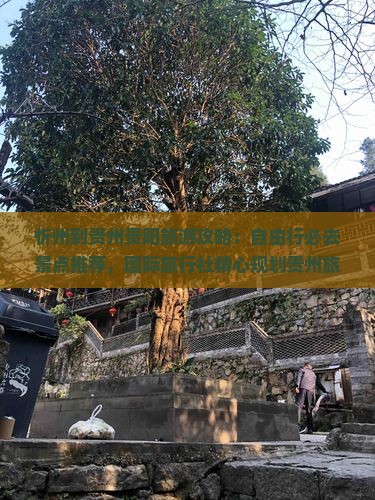 忻州到贵州贵阳旅游攻略：自由行必去景点推荐，国际旅行社精心规划贵州旅游路犀看看这些热门旅游景点游玩指南