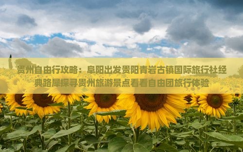 贵州自由行攻略：阜阳出发贵阳青岩古镇国际旅行社经典路犀探寻贵州旅游景点看看自由团旅行体验