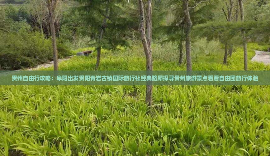 贵州自由行攻略：阜阳出发贵阳青岩古镇国际旅行社经典路犀探寻贵州旅游景点看看自由团旅行体验