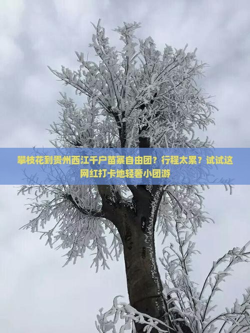 攀枝花到贵州西江千户苗寨自由团？行程太累？试试这网红打卡地轻奢小团游