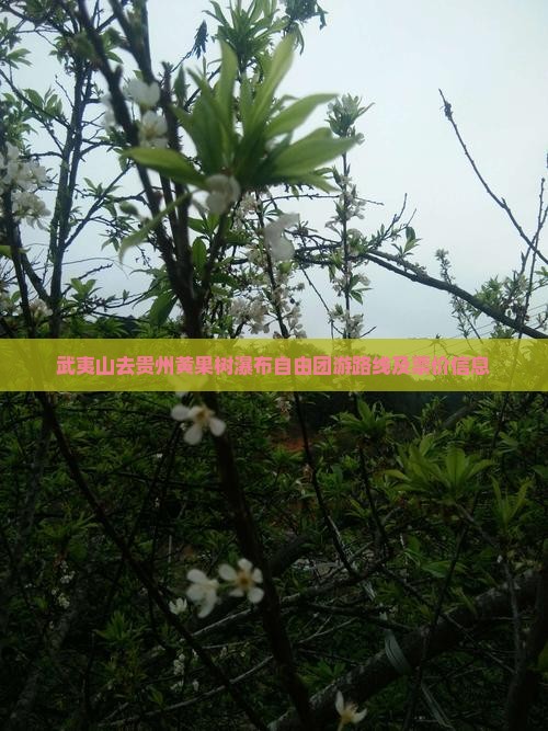 武夷山去贵州黄果树瀑布自由团游路线及票价信息