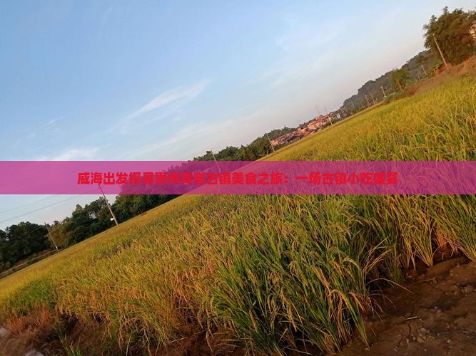 威海出发探寻贵州青岩古镇美食之旅：一场古镇小吃盛宴