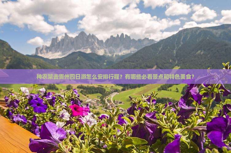 神农架去贵州四日游怎么安排行程？有哪些必看景点和特色美食？