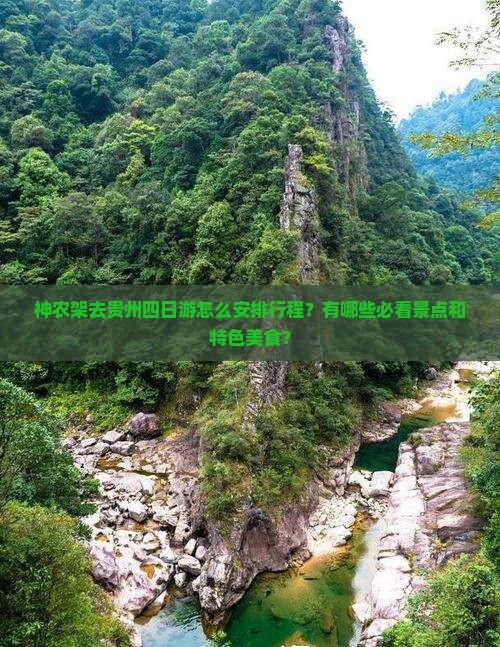 神农架去贵州四日游怎么安排行程？有哪些必看景点和特色美食？