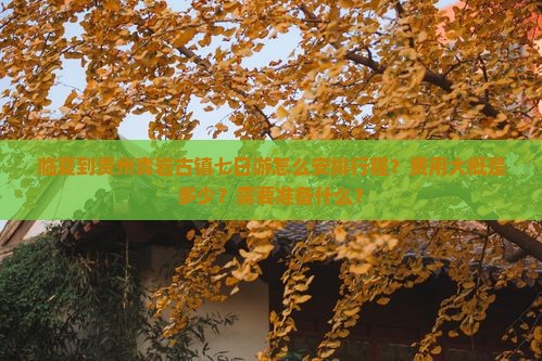 临夏到贵州青岩古镇七日游怎么安排行程？费用大概是多少？需要准备什么？