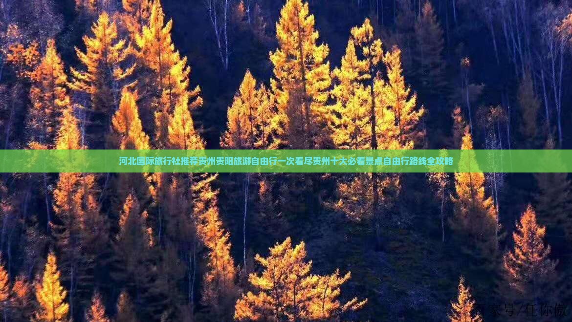 河北国际旅行社推荐贵州贵阳旅游自由行一次看尽贵州十大必看景点自由行路线全攻略