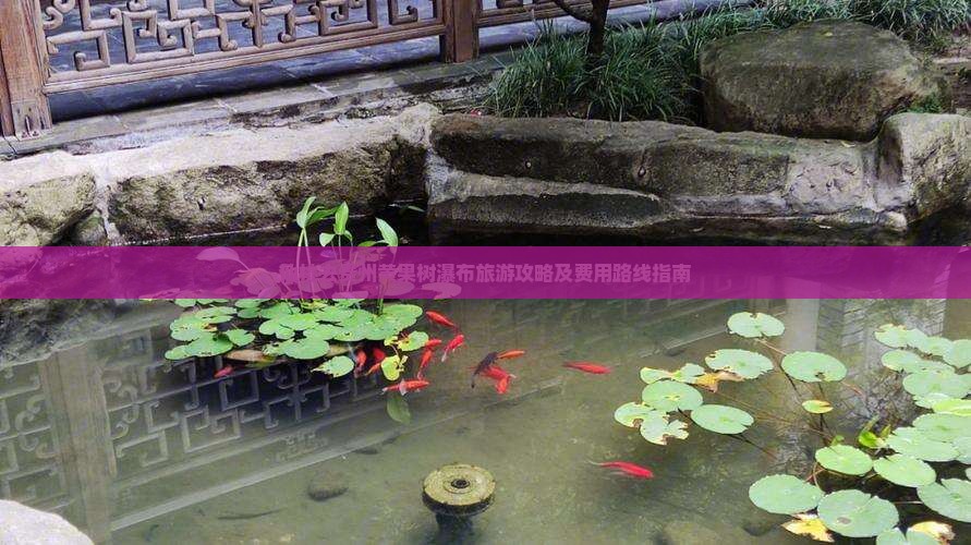 仙桃去贵州黄果树瀑布旅游攻略及费用路线指南