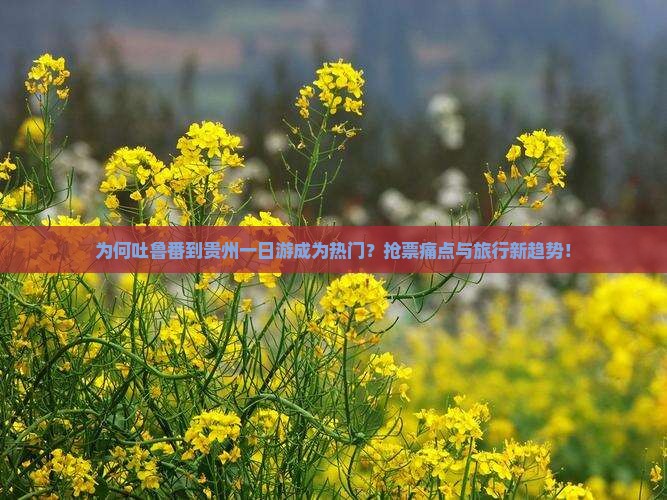 为何吐鲁番到贵州一日游成为热门？抢票痛点与旅行新趋势！