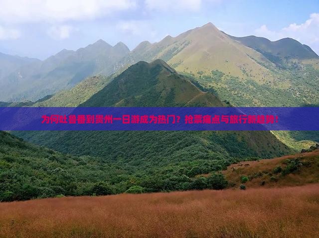 为何吐鲁番到贵州一日游成为热门？抢票痛点与旅行新趋势！