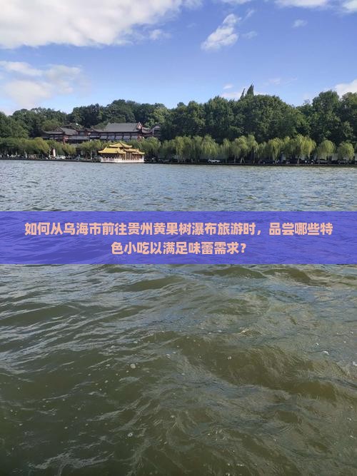 如何从乌海市前往贵州黄果树瀑布旅游时，品尝哪些特色小吃以满足味蕾需求？