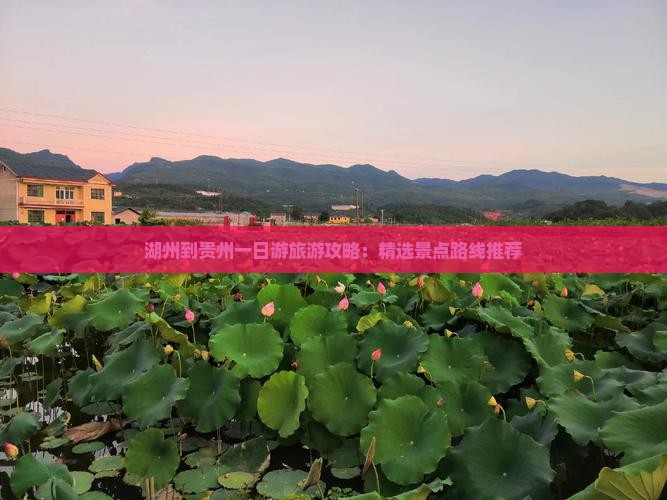 湖州到贵州一日游旅游攻略：精选景点路线推荐