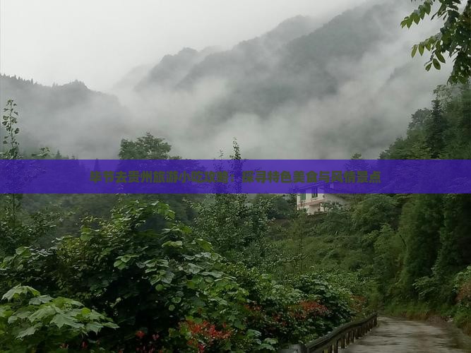 毕节去贵州旅游小吃攻略：探寻特色美食与风情景点