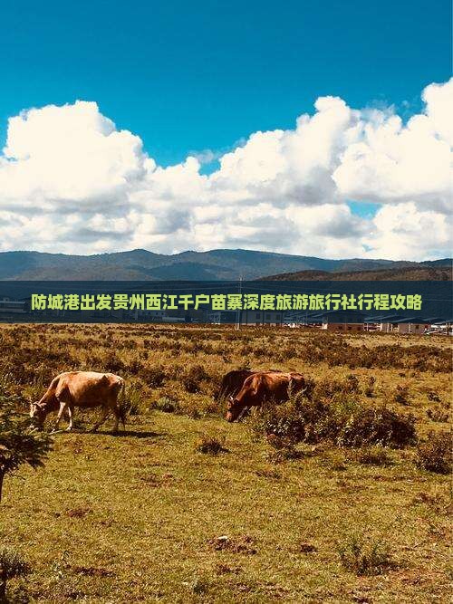 防城港出发贵州西江千户苗寨深度旅游旅行社行程攻略