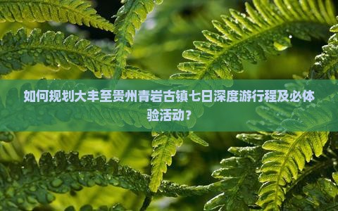 如何规划大丰至贵州青岩古镇七日深度游行程及必体验活动？