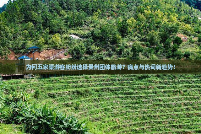 为何五家渠游客纷纷选择贵州团体旅游？痛点与热词新趋势！