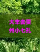 大丰去贵州小七孔攻略