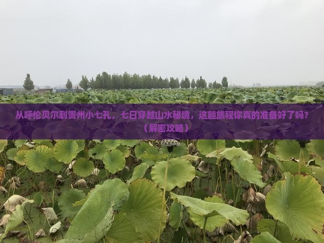 呼伦贝尔去贵州小七孔七日游