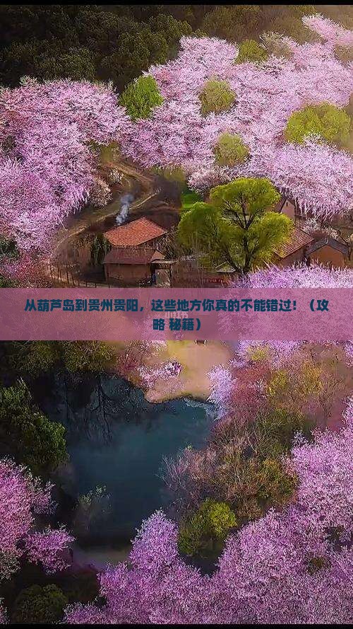 葫芦岛到贵州贵阳必去地