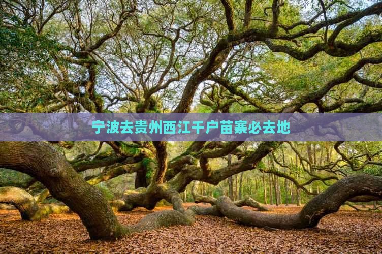 宁波去贵州西江千户苗寨必去地