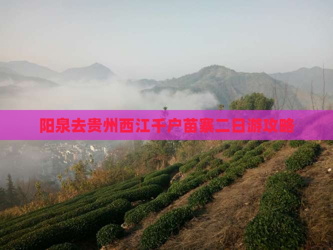阳泉去贵州西江千户苗寨二日游