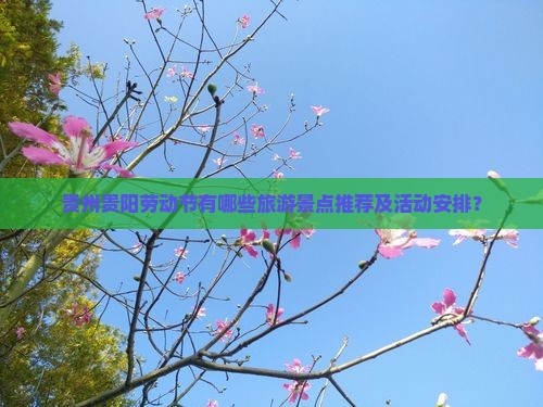 贵州贵阳劳动节有哪些旅游景点推荐及活动安排？
