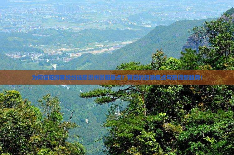 为何信阳游客纷纷选择贵州贵阳景点？背后的旅游痛点与热词新趋势！