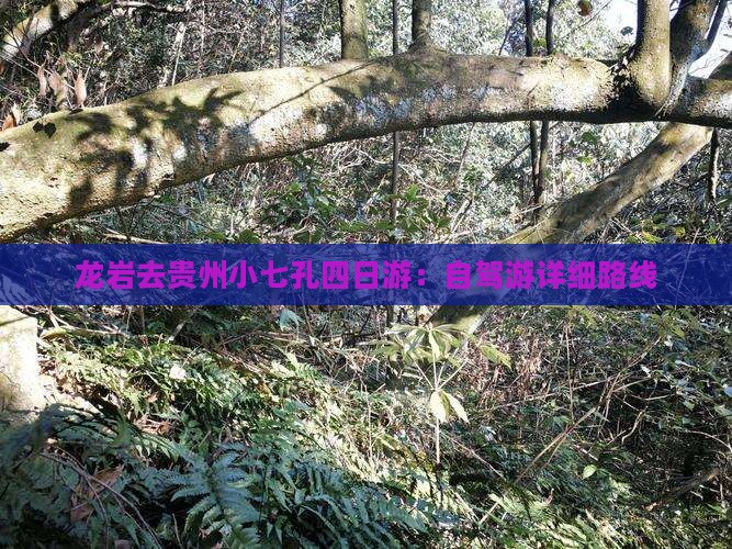 龙岩去贵州小七孔四日游：自驾游详细路线