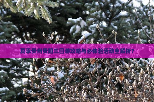 夏季贵州贵阳三日游攻略与必体验活动全解析？