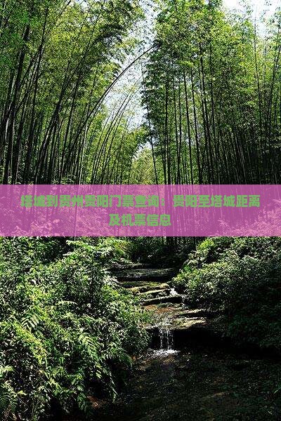 塔城到贵州贵阳门票查询：贵阳至塔城距离及机票信息
