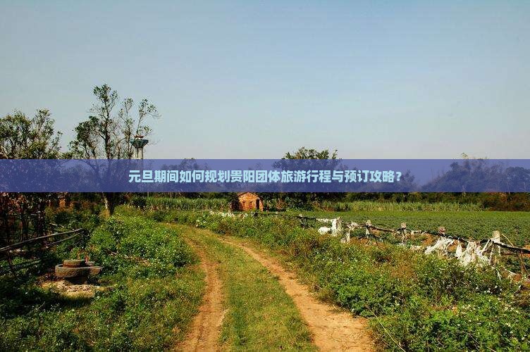 元旦期间如何规划贵阳团体旅游行程与预订攻略？