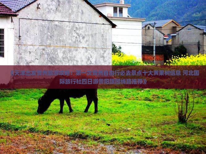 《天津出发贵州旅游攻略：第一次贵州自由行必去景点十大黄果树信息 河北国际旅行社四日游贵阳跟团线路推荐》