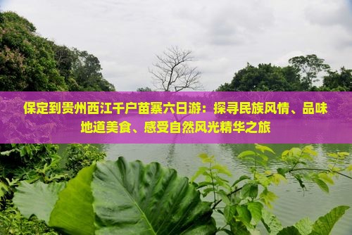 保定到贵州西江千户苗寨六日游：探寻民族风情、品味地道美食、感受自然风光精华之旅