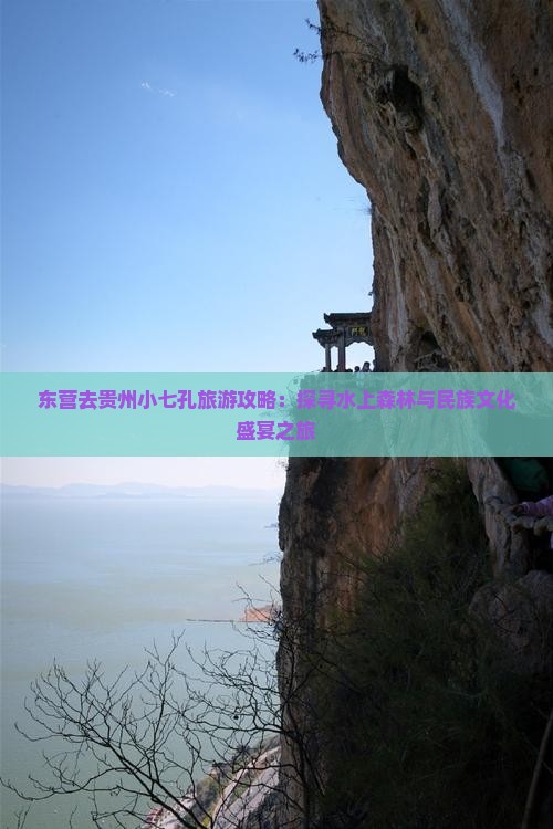 东营去贵州小七孔旅游攻略：探寻水上森林与民族文化盛宴之旅