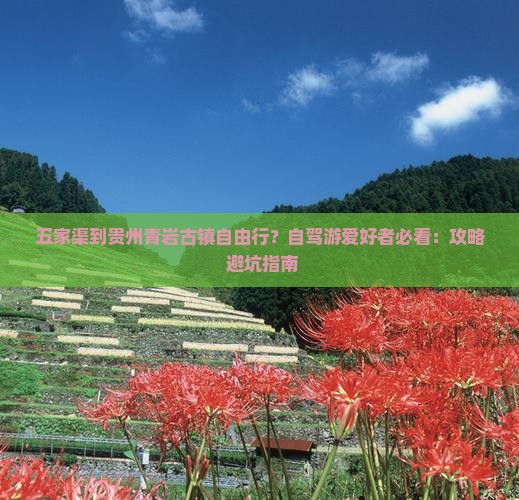 五家渠到贵州青岩古镇自由行？自驾游爱好者必看：攻略+避坑指南