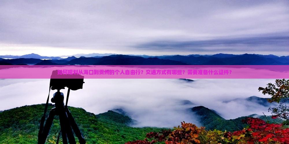 如何规划从海口到贵州的个人自由行？交通方式有哪些？需要准备什么证件？