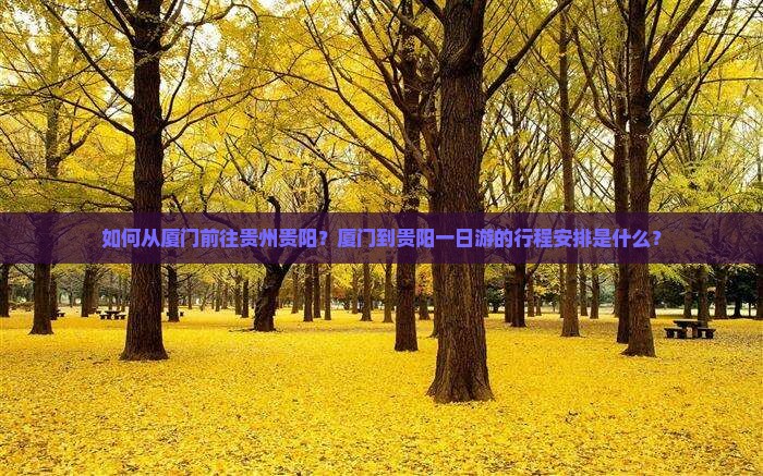如何从厦门前往贵州贵阳？厦门到贵阳一日游的行程安排是什么？