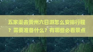 五家渠去贵州六日游怎么安排行程？需要准备什么？有哪些必看景点？