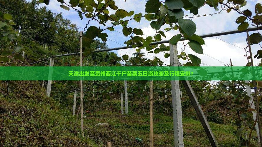 天津出发至贵州西江千户苗寨五日游攻略及行程安排？