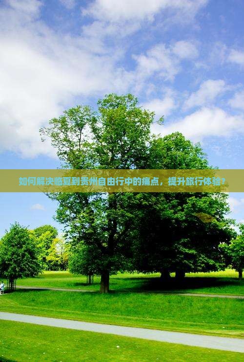 如何解决临夏到贵州自由行中的痛点，提升旅行体验？