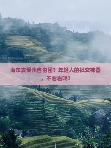 海东去贵州自由团？年轻人的社交神器，不看看吗？